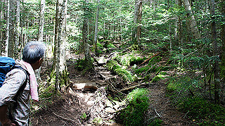 dsc00066_thumb.jpg