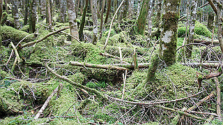 dsc00069_thumb.jpg