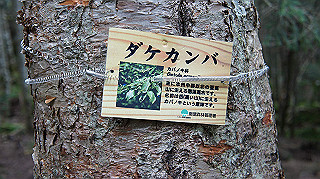 dsc00076_thumb.jpg