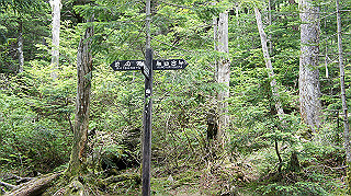 dsc00077_thumb.jpg
