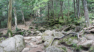 dsc00078_thumb.jpg