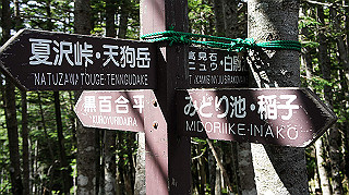 dsc00092_thumb.jpg