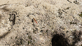 dsc00097_thumb.jpg