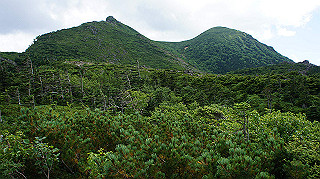 dsc00101_thumb.jpg