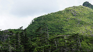 dsc00103_thumb.jpg