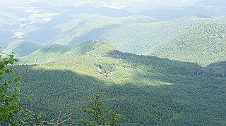 dsc00106_thumb.jpg