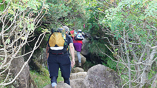 dsc00107_thumb.jpg