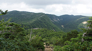 dsc00111_thumb.jpg