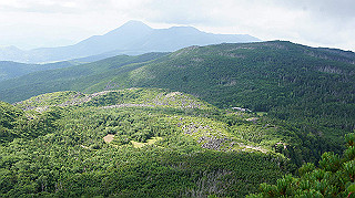 dsc00115_thumb.jpg