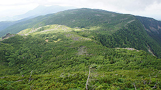 dsc00117_thumb.jpg