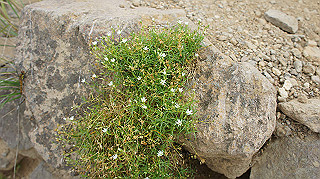 dsc00121_thumb.jpg