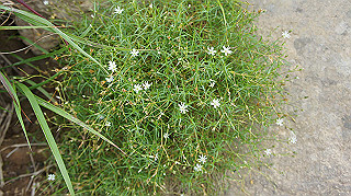 dsc00122_thumb.jpg