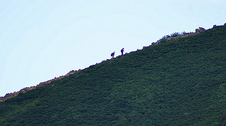 dsc00128_thumb.jpg