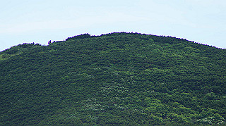 dsc00131_thumb.jpg