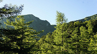 dsc00009_thumb.jpg