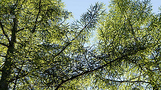 dsc00016_thumb.jpg