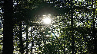 dsc00019_thumb.jpg