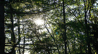 dsc00020_thumb.jpg