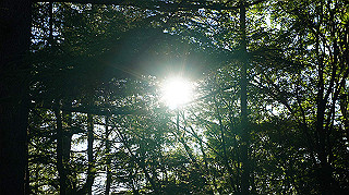 dsc00021_thumb.jpg