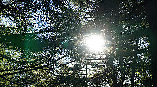 dsc00022_thumb.jpg