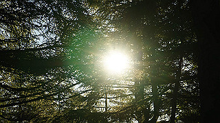 dsc00023_thumb.jpg