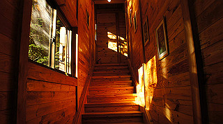 dsc00042_thumb.jpg