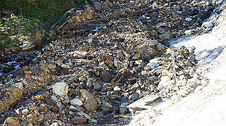 dsc00061_thumb.jpg
