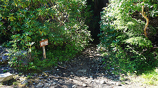 dsc00063_thumb.jpg