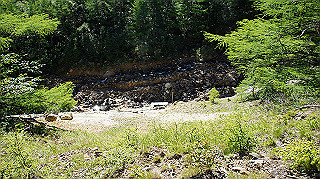 dsc00065_thumb.jpg