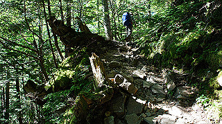 dsc00068_thumb.jpg