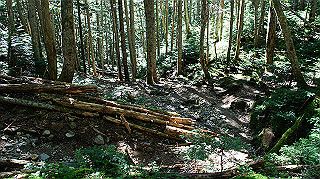 dsc00070_thumb.jpg
