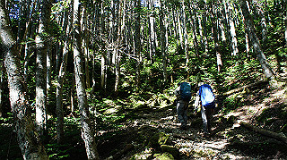 dsc00071_thumb.jpg