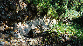 dsc00072_thumb.jpg