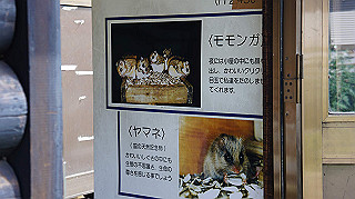 dsc00076_thumb.jpg