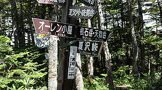 dsc00093_thumb.jpg