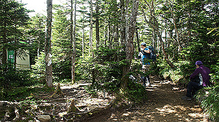 dsc00094_thumb.jpg