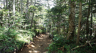 dsc00095_thumb.jpg