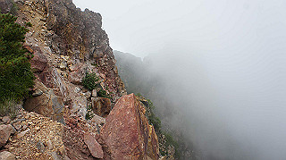 dsc00115_thumb.jpg