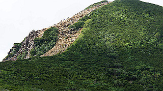 dsc00123_thumb.jpg