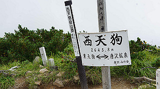 dsc00132_thumb.jpg