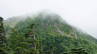 dsc00142_thumb.jpg