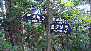 dsc07325_thumb.jpg