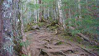 dsc07326_thumb.jpg
