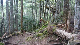 dsc07327_thumb.jpg