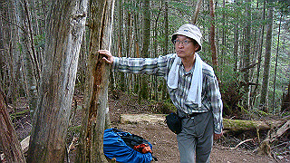 dsc07331_thumb.jpg