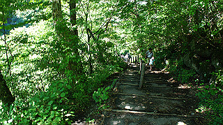 dsc00007_thumb.jpg