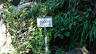 dsc00008_thumb.jpg