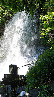 dsc00009_thumb.jpg