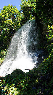 dsc00012_thumb.jpg
