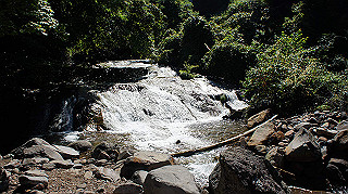 dsc00014_thumb.jpg